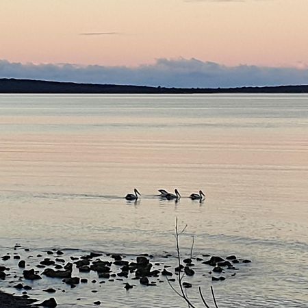 Port Lincoln Caravan Park North Shields Экстерьер фото